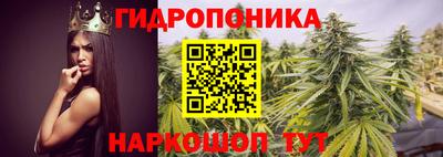 тгк Гусь-Хрустальный
