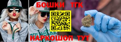 тгк Гусь-Хрустальный