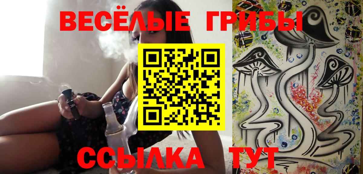 Галлюциногенные грибы MAGIC MUSHROOMS  Вход с VPN  Минеральные Воды 