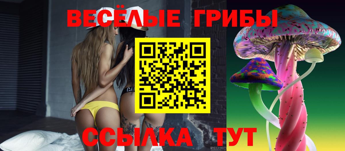 Псилоцибиновые грибы ЛСД Минеральные Воды